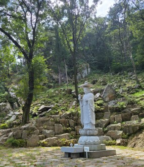 신점,사주,운세,상담