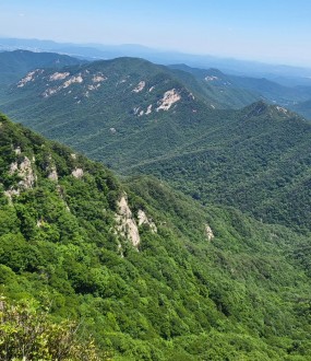 신점,사주,궁합,운세,작명,개명,결혼