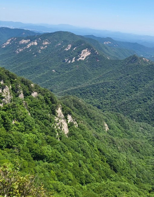 신점,사주,궁합,운세,작명,개명,결혼