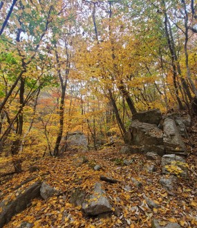 유명한점집,신점,사주,궁합,운세,작명…