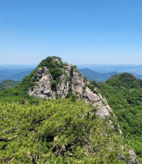 대전,중구,점집,용한점집,도명신녀