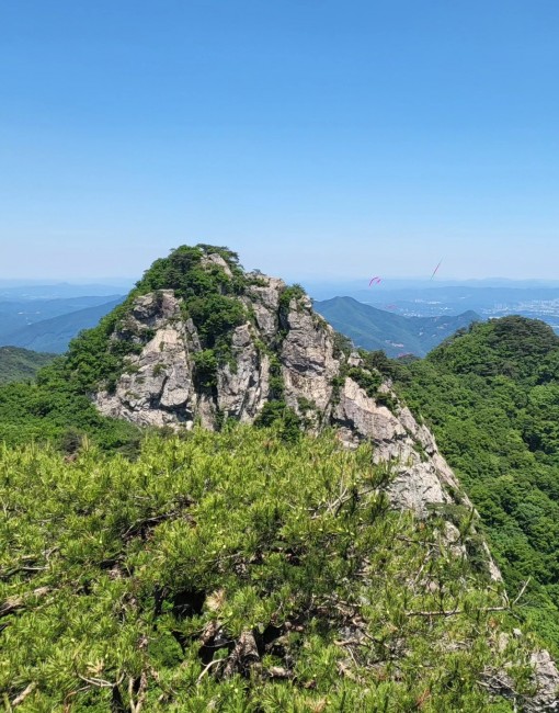 대전,중구,점집,용한점집,도명신녀