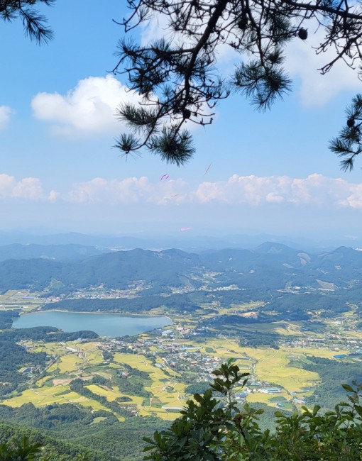 유명한점집,신점,사주,궁합,운세,작명,개명