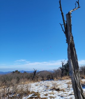 대전점집,용한점집,신점,사주,궁합,상…