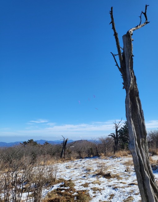 대전점집,용한점집,신점,사주,궁합,상담,예…