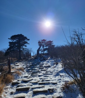 대전,궁합,운세,작명,개명,결혼,취업…