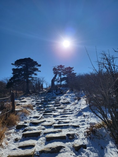 서울 ,궁합,운세,작명,결혼…