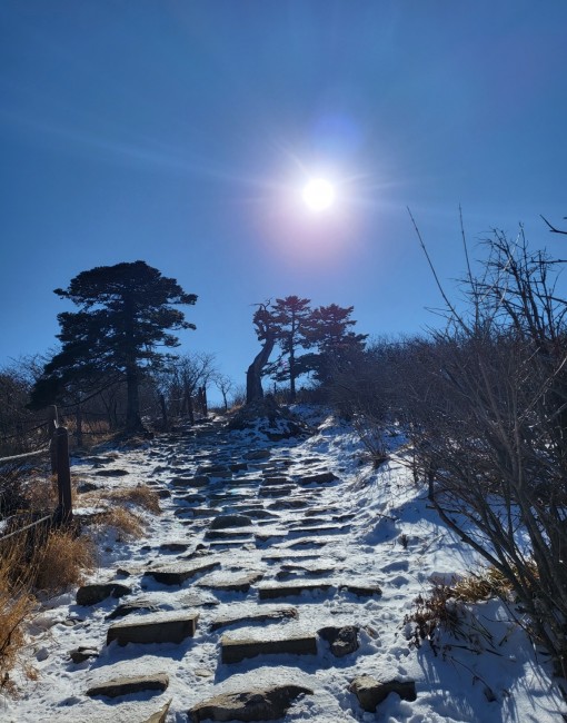 대전,궁합,운세,작명,개명,결혼,취업,상담…